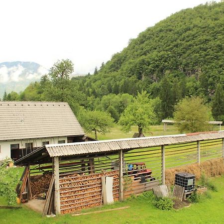 Apartments Villa Dov Bohinj Exteriör bild