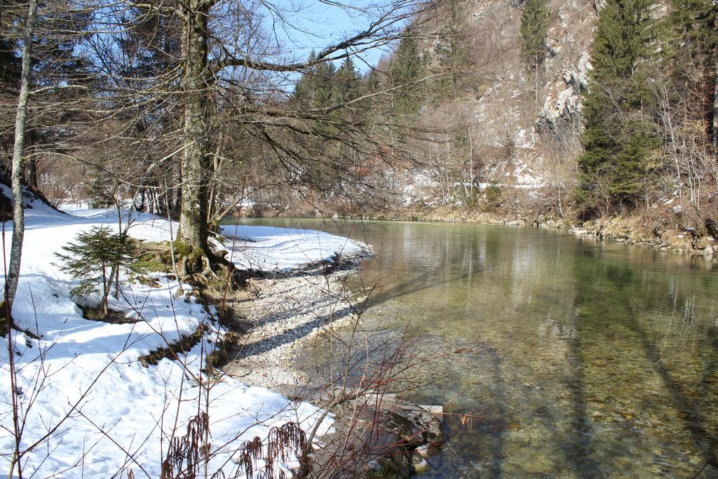 Apartments Villa Dov Bohinj Exteriör bild