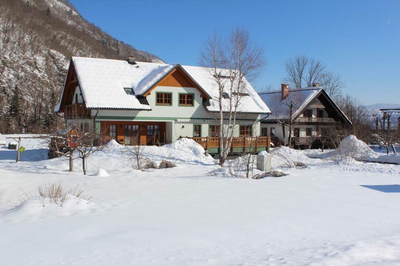 Apartments Villa Dov Bohinj Exteriör bild