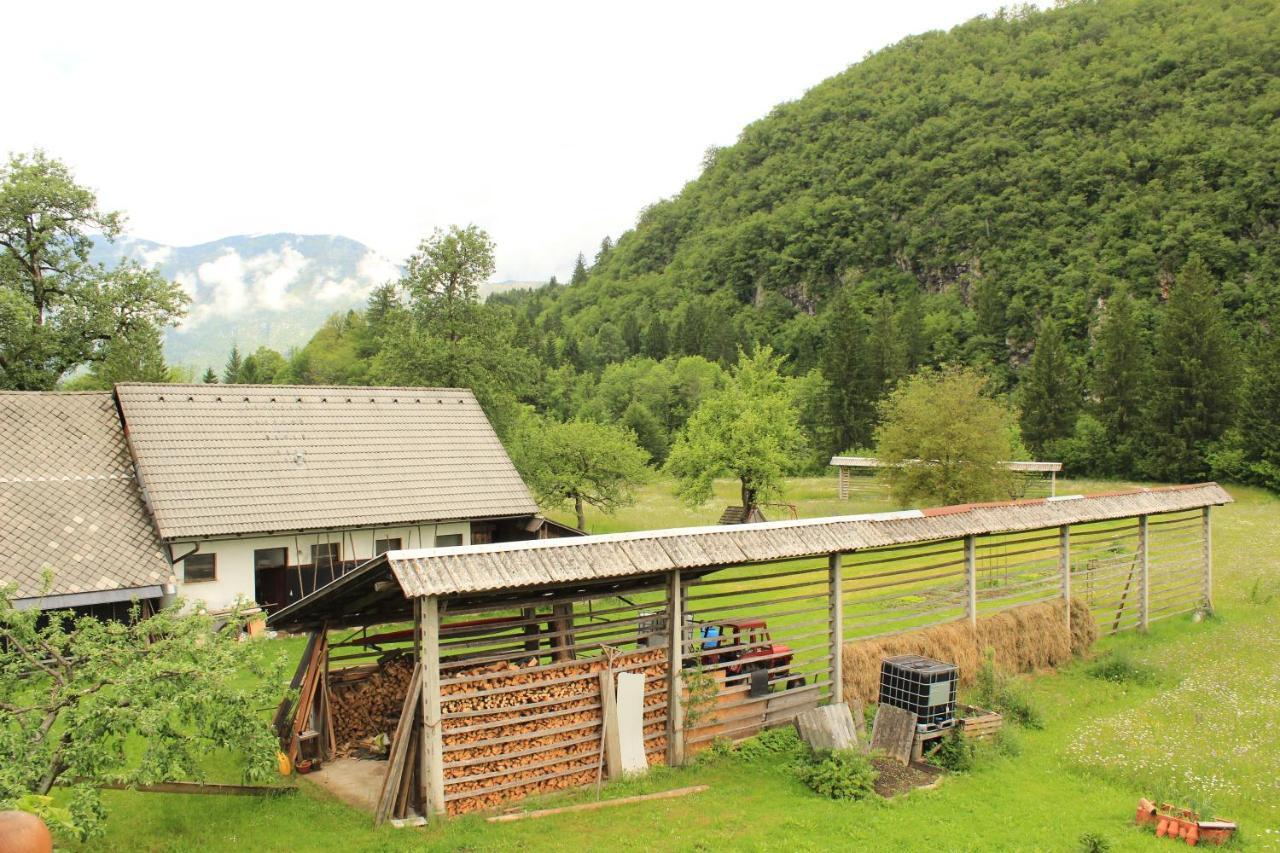 Apartments Villa Dov Bohinj Exteriör bild